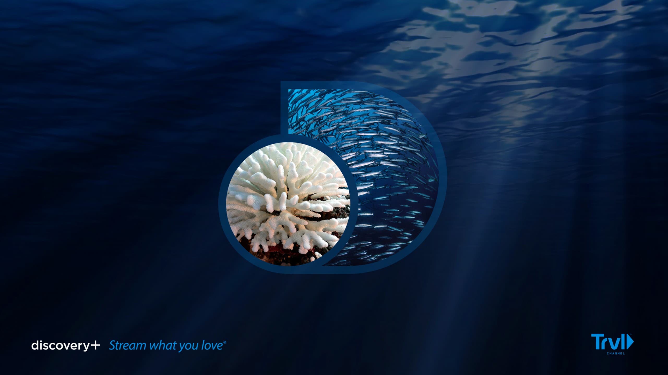 Discovery+ content